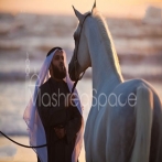 Mishary rashid al afasy